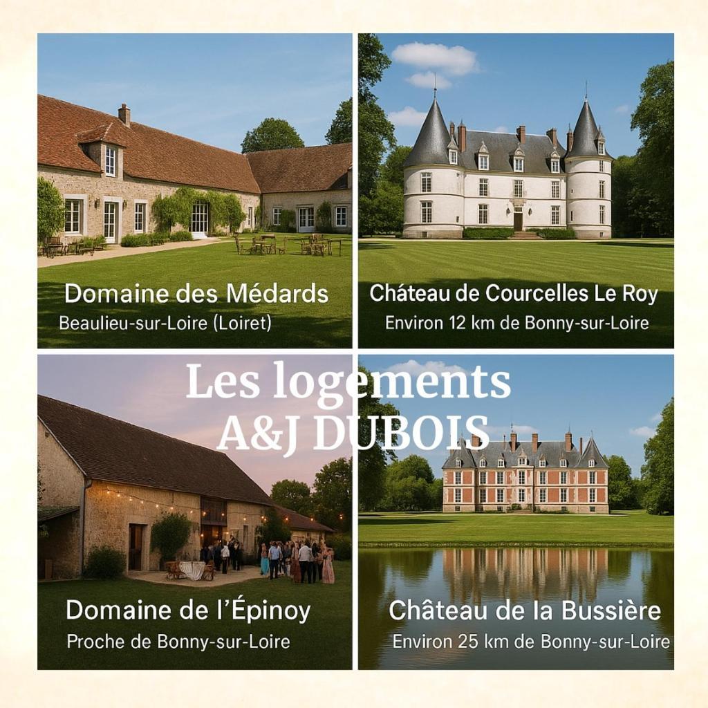 A&Jduplex - Bonny Sur Loire - Chateaux De Guedelon - Pont Canal Exterior foto